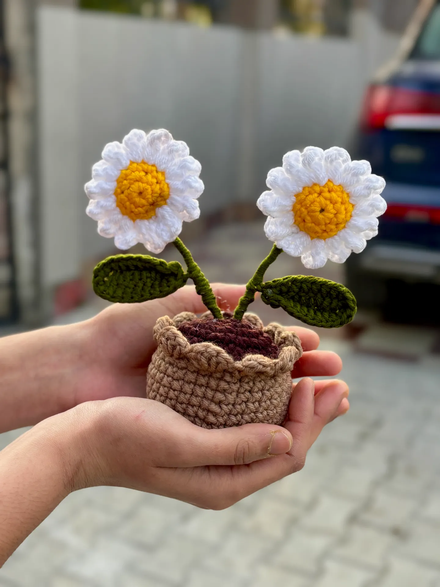 Double Daisy Pot
